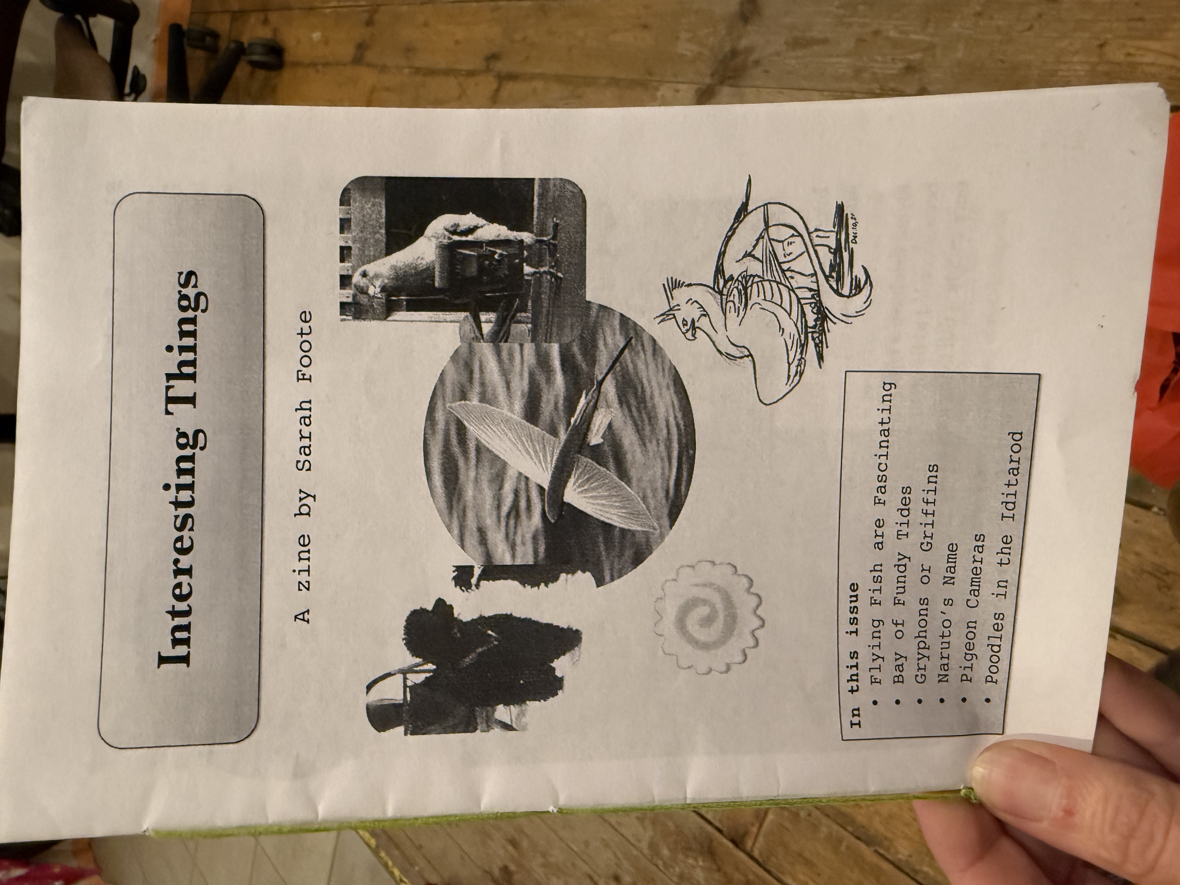 Cover of Interesting Things zine, featuring images from the six topics covered in the zine