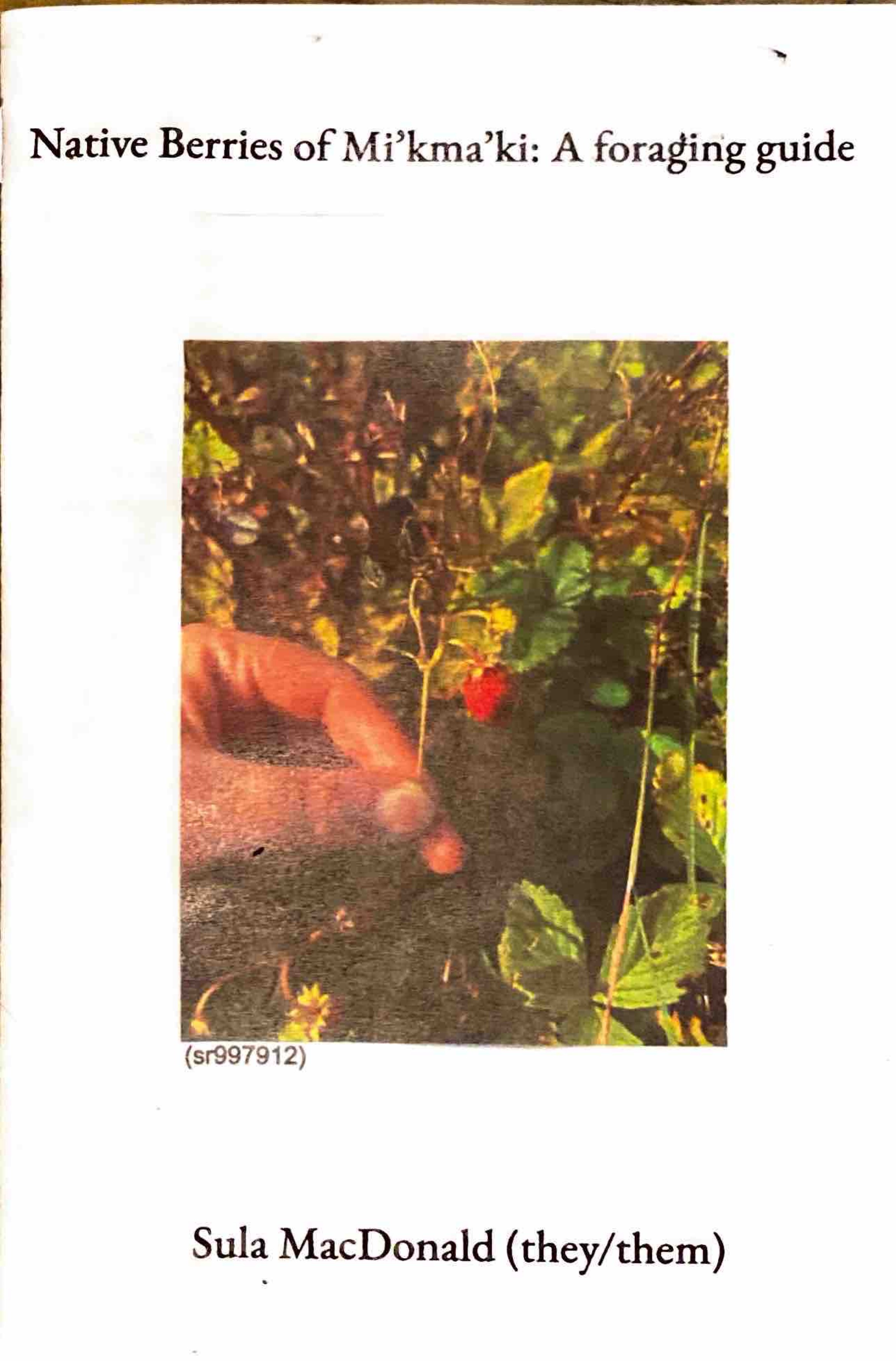 image of hand picking berries of a bush in the centre of a plain page with the title and author name