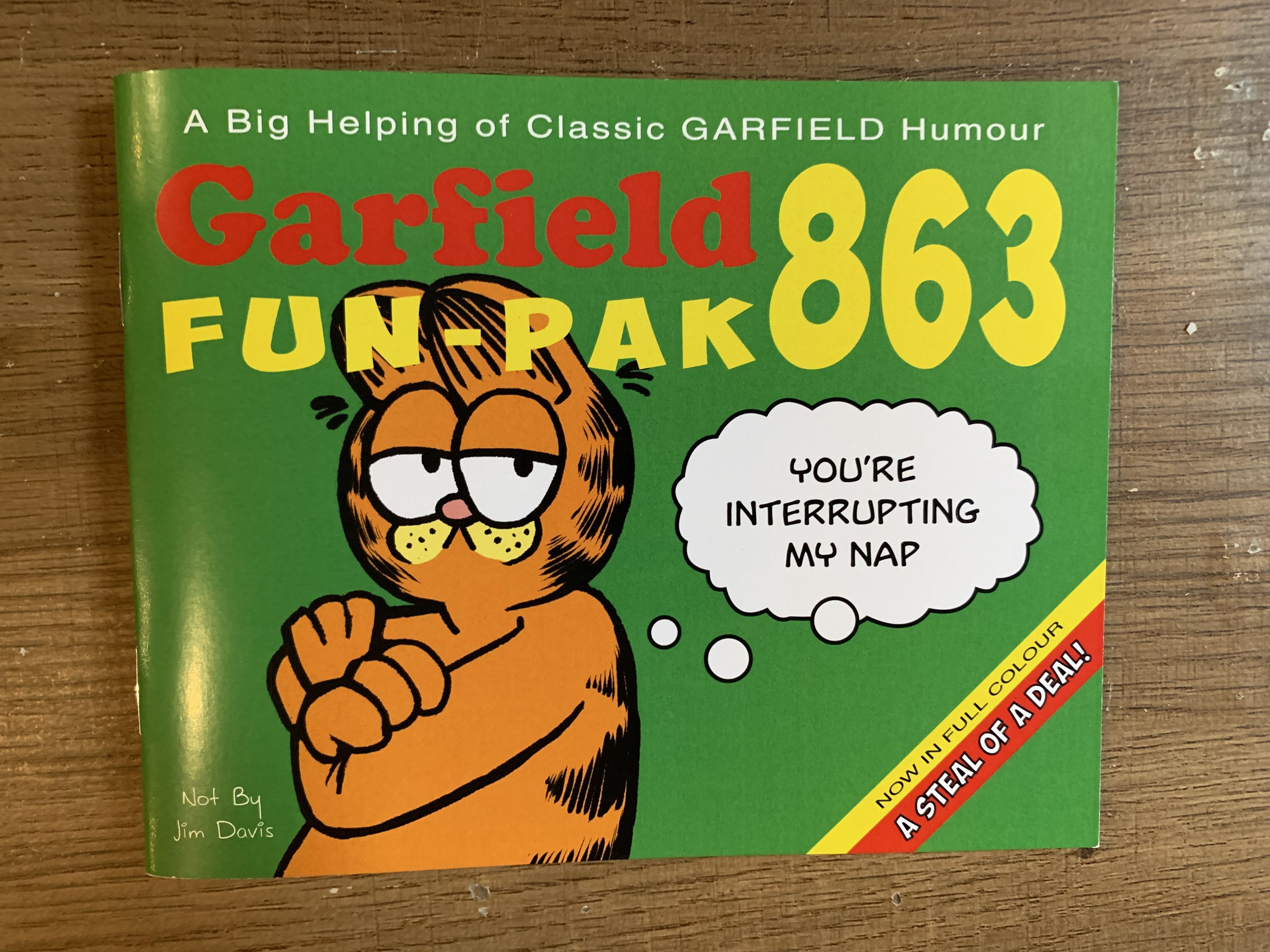 a green zine cover featuring Garfield